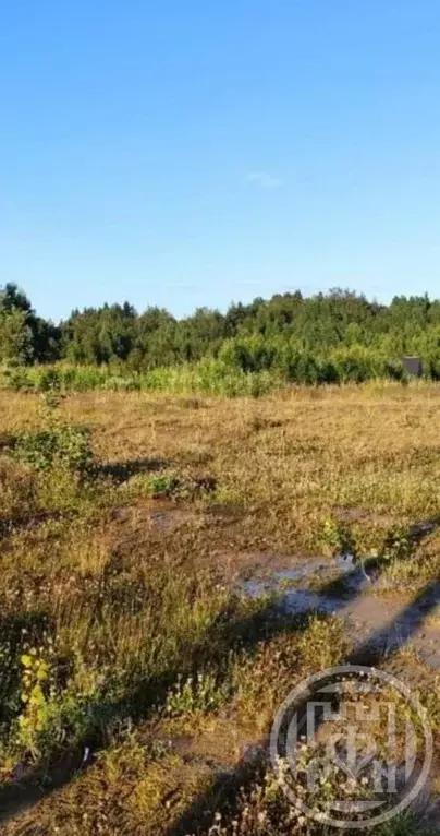 Участок в Ленинградская область, Всеволожский район, Лесколовское ... - Фото 1