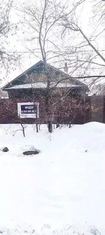 Дом в Амурская область, Благовещенск Конная ул., 64 (599 м) - Фото 1