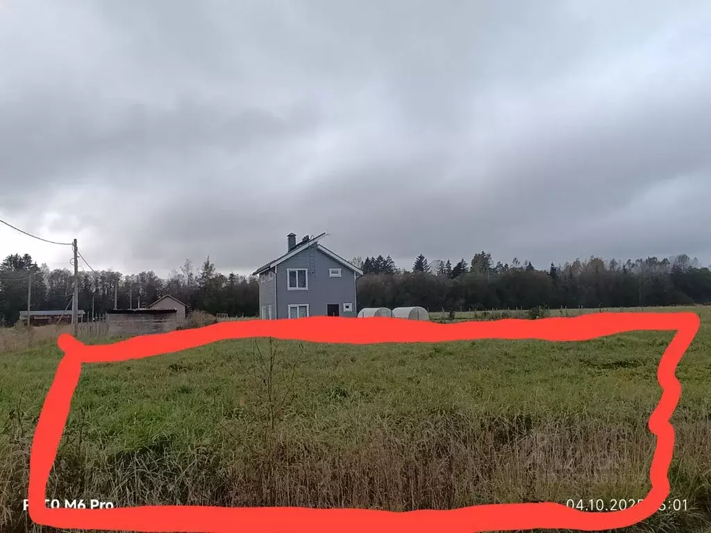 Участок в Ленинградская область, Лужский район, Мшинское с/пос, ... - Фото 1