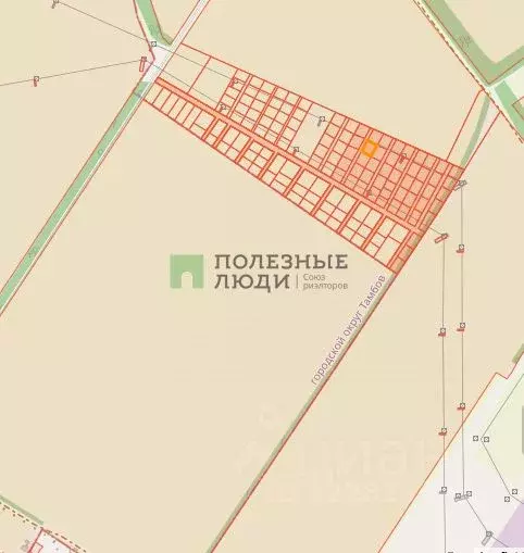 Участок в Тамбовская область, Тамбовский муниципальный округ, д. ... - Фото 2