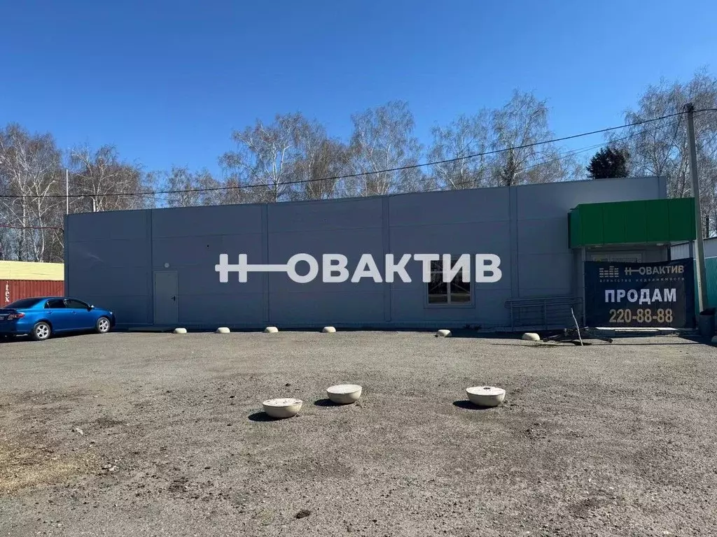 Торговая площадь в Алтайский край, с. Романово ул. Советская, 46 (80 ... - Фото 0