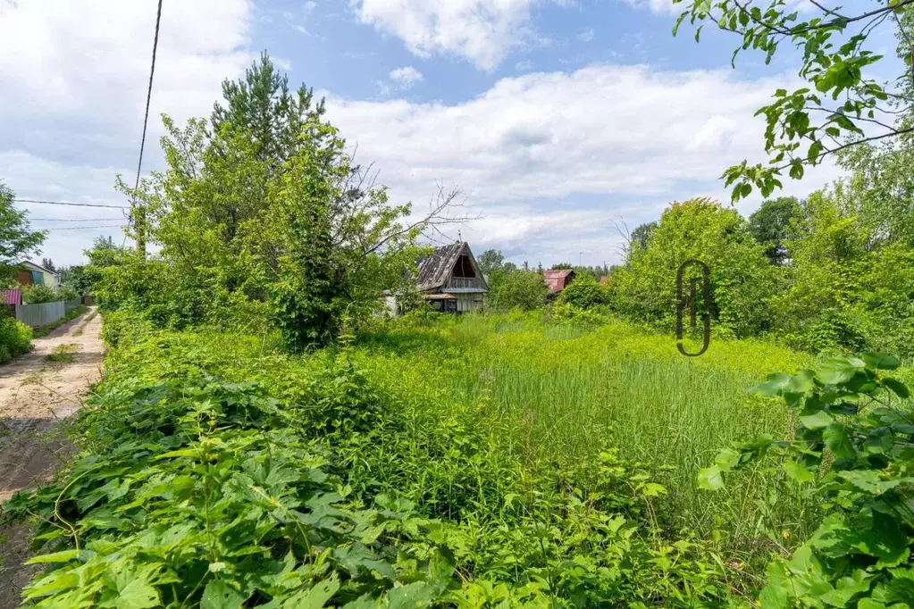 Участок в Татарстан, Лаишевский район, Орловское с/пос, Чистое Озеро ... - Фото 1