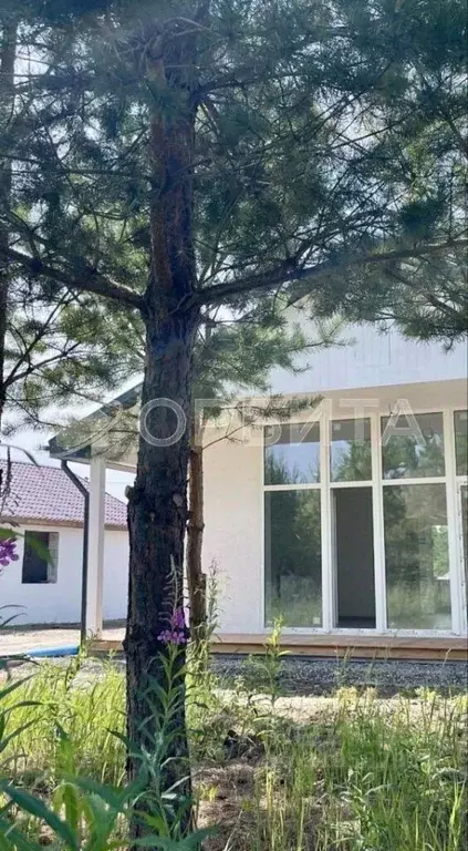 Дом в Тюменская область, Нижнетавдинский район, д. Московка  (60 м) - Фото 1