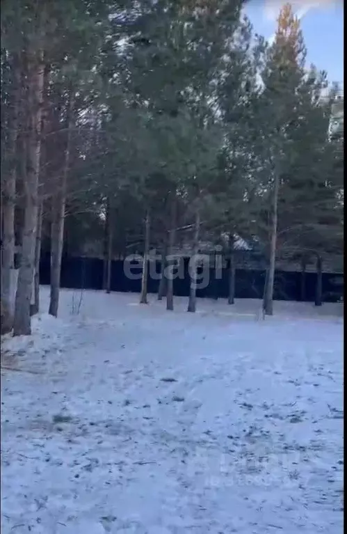 Участок в Свердловская область, Екатеринбург Лесные Тропы кп, 7 (16.4 ... - Фото 1
