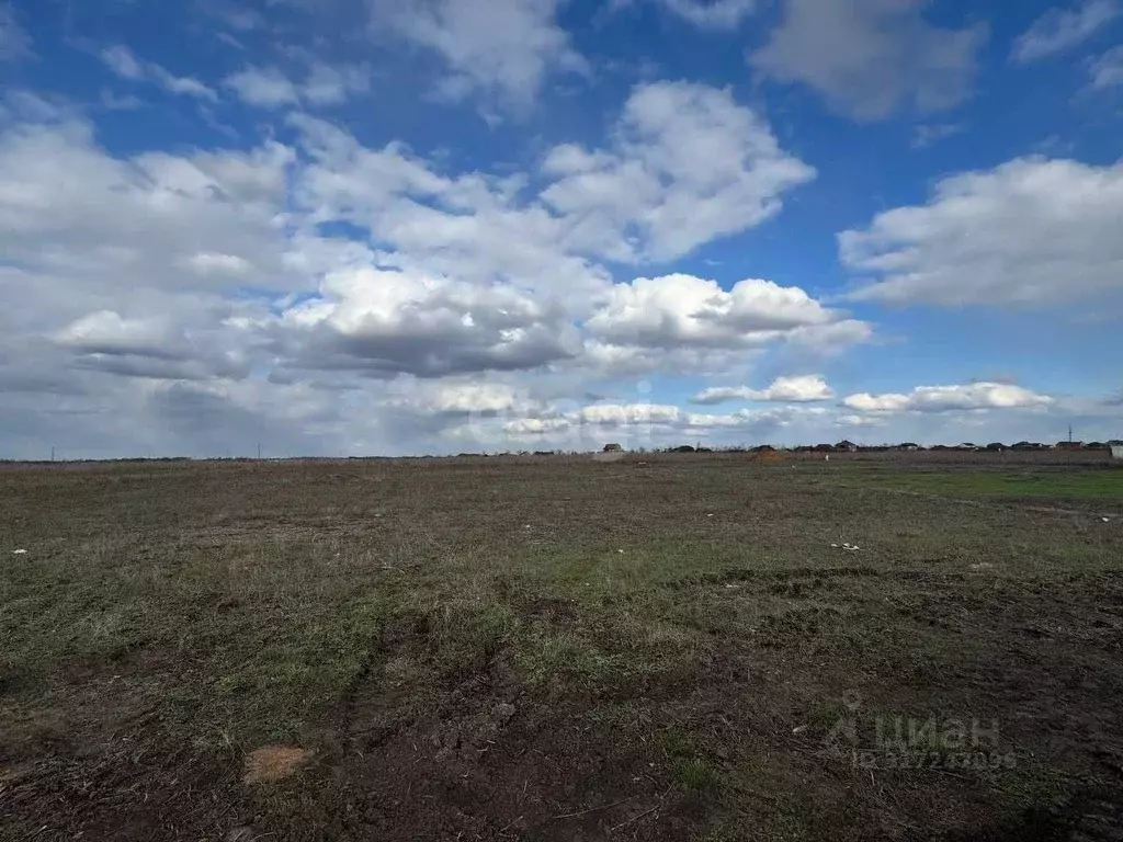 Участок в Белгородская область, Белгородский район, с. Стрелецкое 68 ... - Фото 0