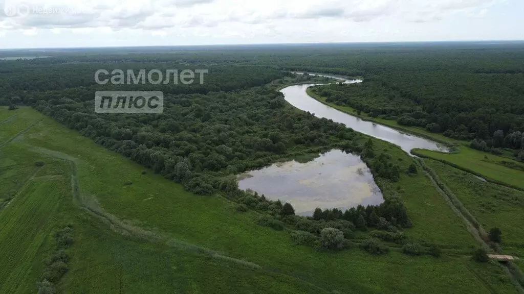 Участок в посёлок Заповедное, Советская улица (38 м) - Фото 0