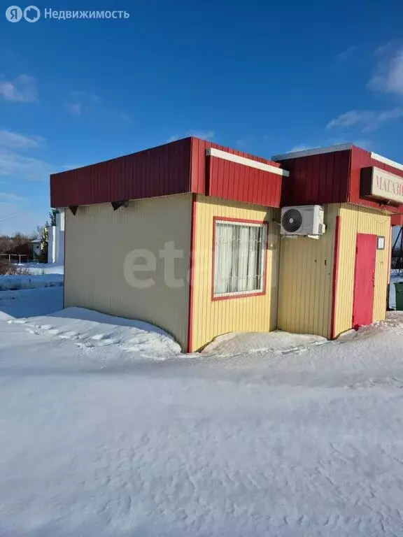 Торговая площадь (43.4 м) - Фото 2