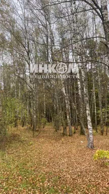 Участок в Московская область, Чехов муниципальный округ, д. ... - Фото 1