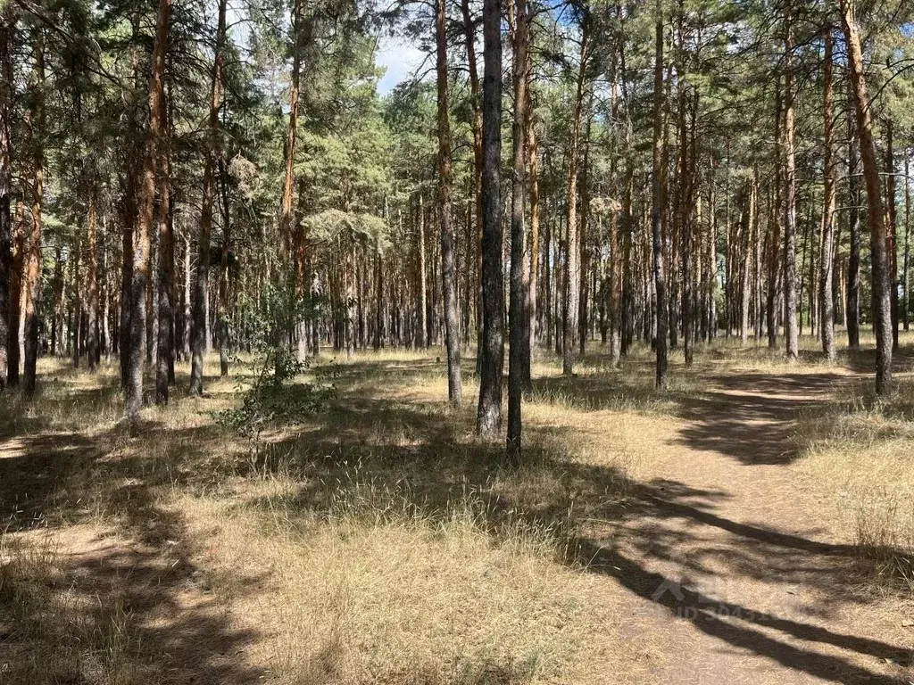 Участок в Саратовская область, Энгельсский район, Красноярское ... - Фото 0