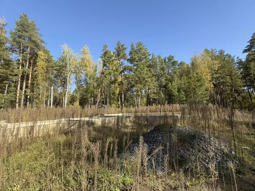 Участок в Алтайский край, Первомайский район, с. Бобровка Партизанская ... - Фото 2