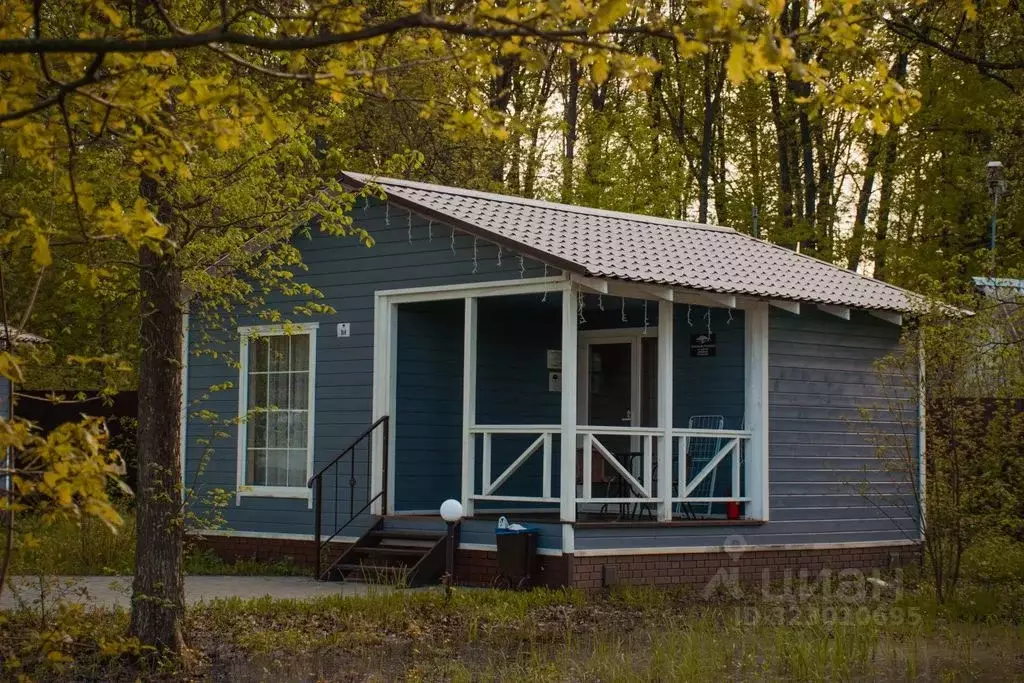 Дом в Воронежская область, с. Новая Усмань  (27 м) - Фото 1