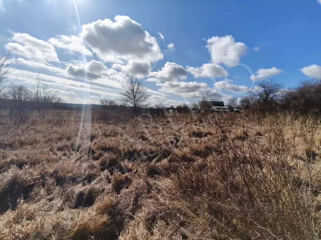 Участок в Воронежская область, Семилукский район, с. Девица Садовая ... - Фото 2