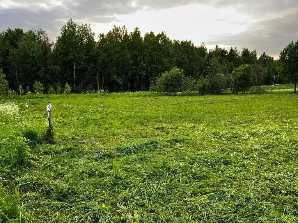 Участок в Ленинградская область, Тосненский район, Нурминское с/пос, ... - Фото 2
