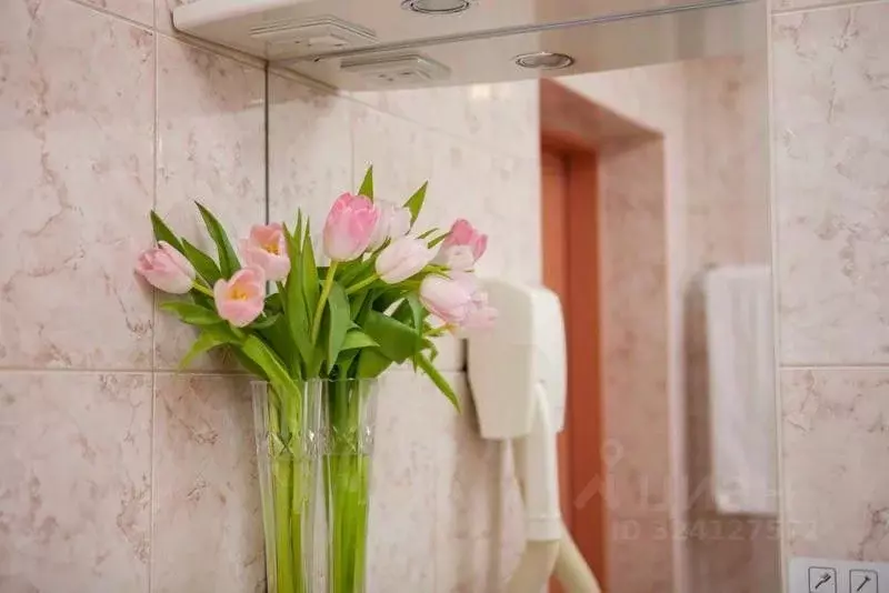 Комната Челябинская область, Челябинск просп. Ленина, 20 (17.0 м) - Фото 2