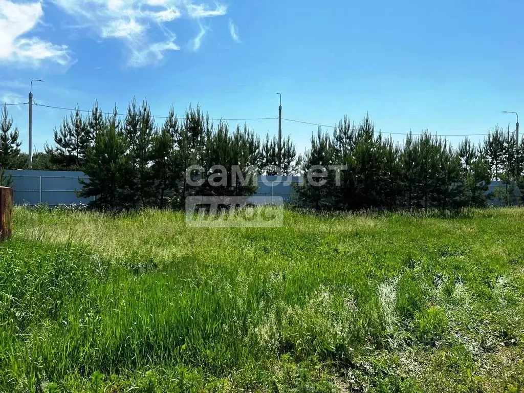 Участок в Алтайский край, Первомайский район, с. Санниково ул. 1-я ... - Фото 2
