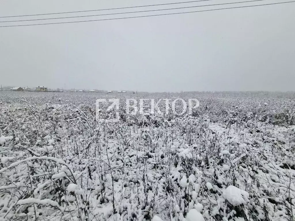 Участок в Ивановская область, Ивановский район, Беляницкое с/пос, д. ... - Фото 1