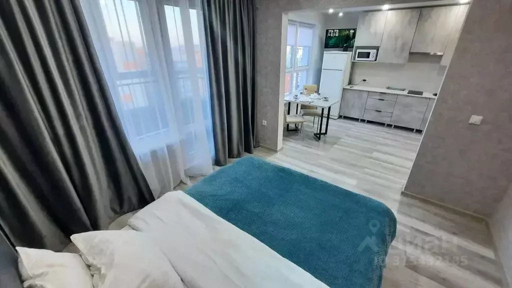1-к кв. Алтайский край, Барнаул ул. Солнечная Поляна, 94к2 (28.0 м) - Фото 0