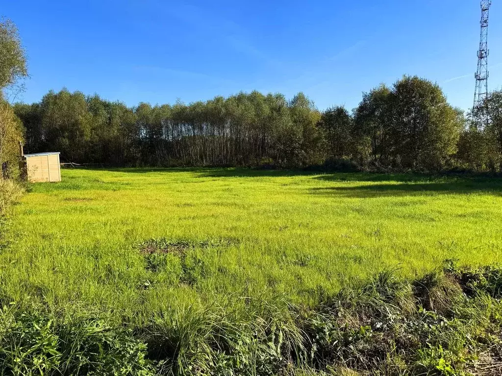 Участок в Московская область, Раменский муниципальный округ, Оттепель ... - Фото 1