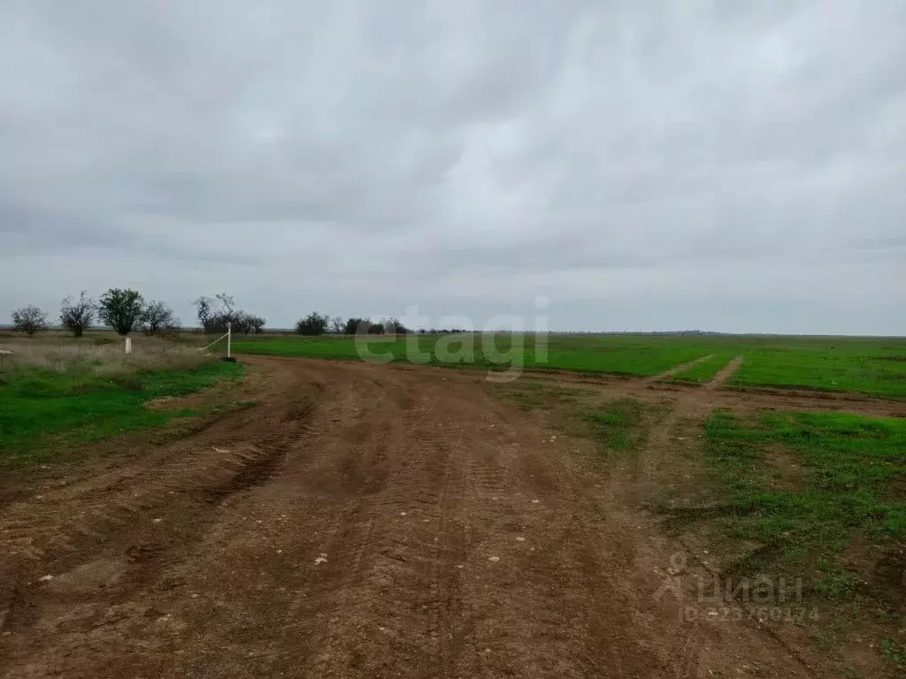 Участок в Крым, Сакский район, с. Уютное, Уютная Гавань мкр  (876.76 ... - Фото 1
