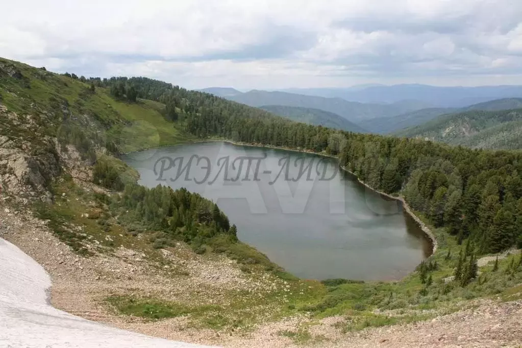 Участок в Алтай, Усть-Коксинский район, с. Усть-Кокса  (1500.0 сот.) - Фото 0