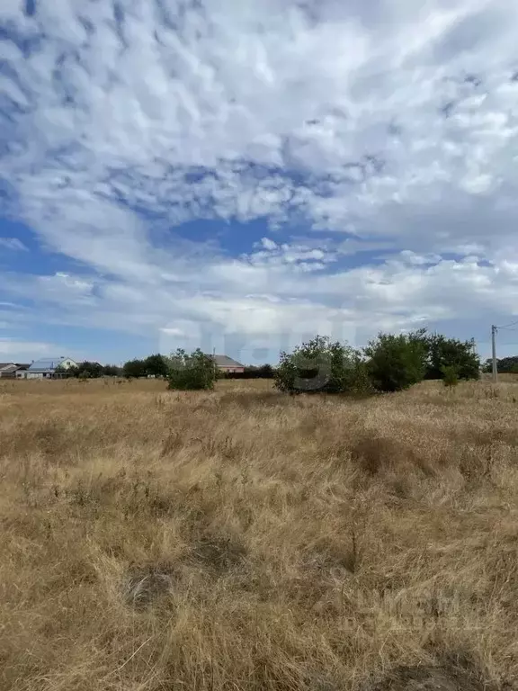 Участок в Краснодарский край, Ейский район, с. Кухаривка Солнечная ул. ... - Фото 2