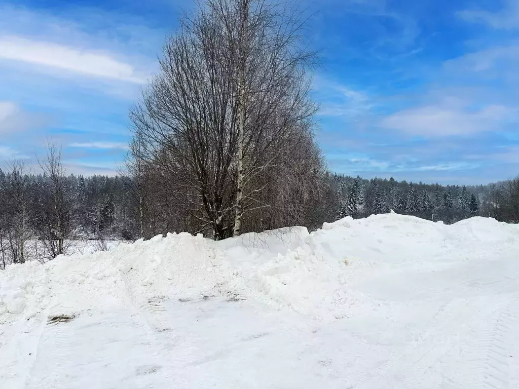 Участок в Московская область, Дмитровский муниципальный округ, ... - Фото 1