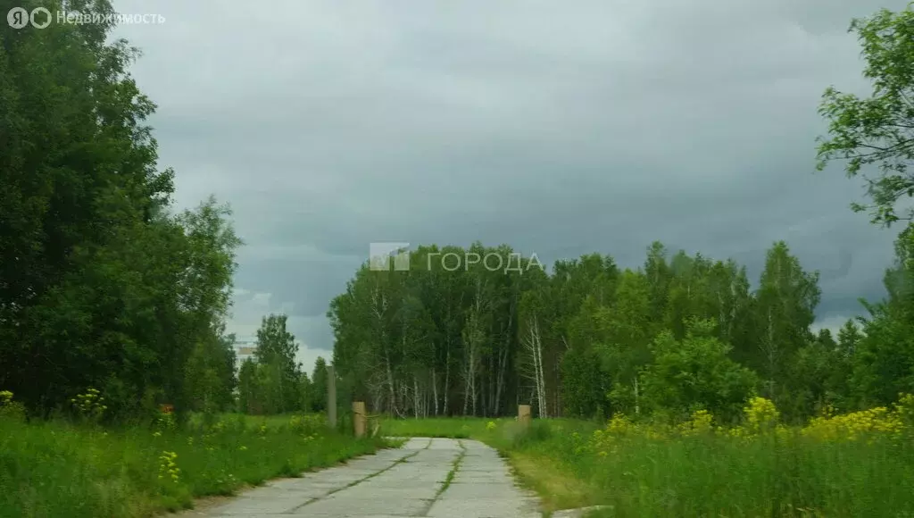 Участок в Новосибирская область, рабочий посёлок Кольцово, территория ... - Фото 1