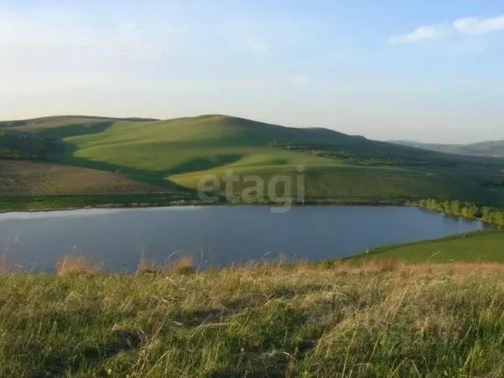 Участок в Алтай, Майминский район, с. Подгорное Центральная ул. (11.62 ... - Фото 2