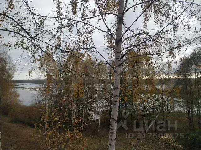 Дом в Нижегородская область, Воротынский городской округ, с. Каменка ... - Фото 1