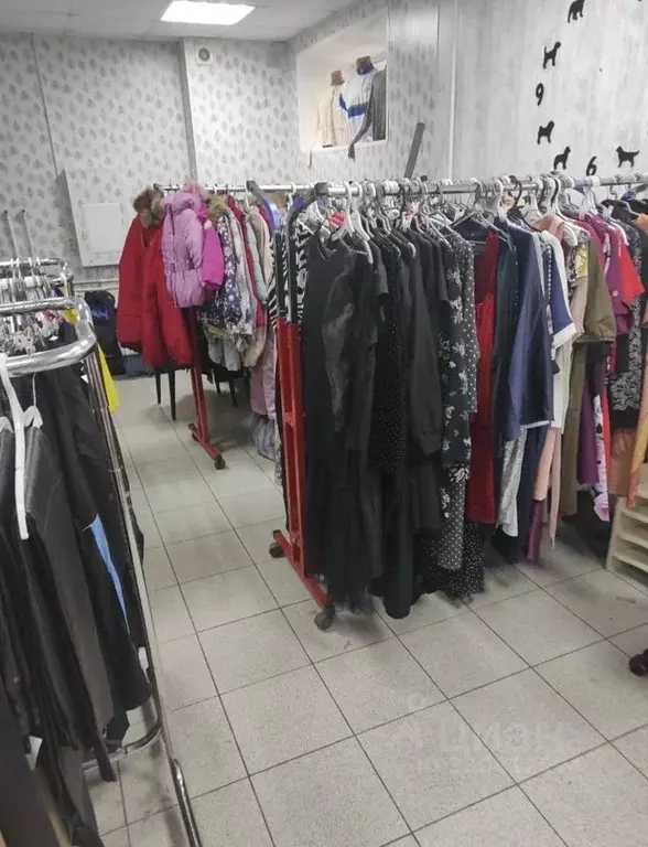 Помещение свободного назначения в Новосибирская область, Новосибирский ... - Фото 1