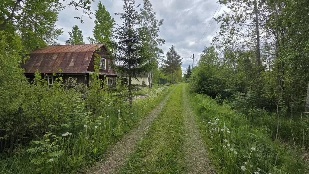 Участок в Ленинградская область, Тосненский район, Трубникоборское ... - Фото 1