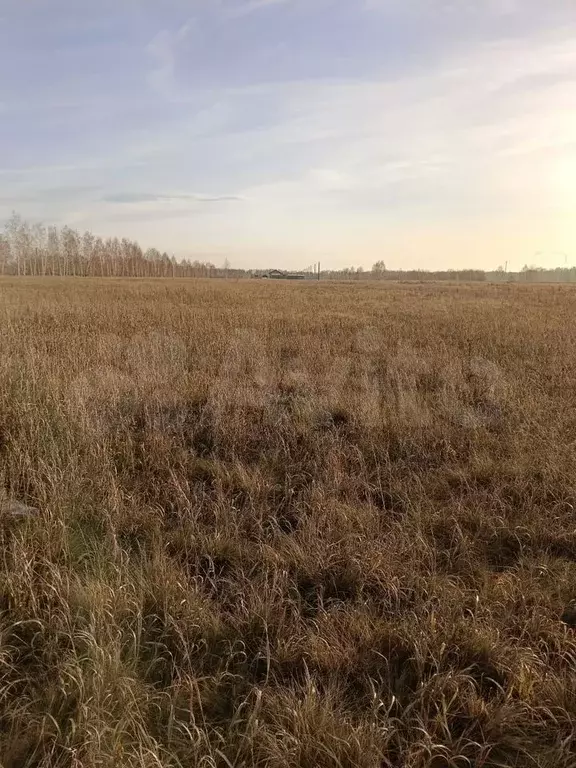 Участок 6,6 сот. (ИЖС) - Фото 1