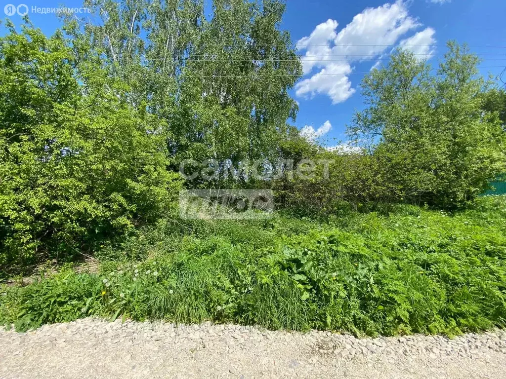 Участок в Киреевский район, сельское поселение Бородинское, деревня ... - Фото 1