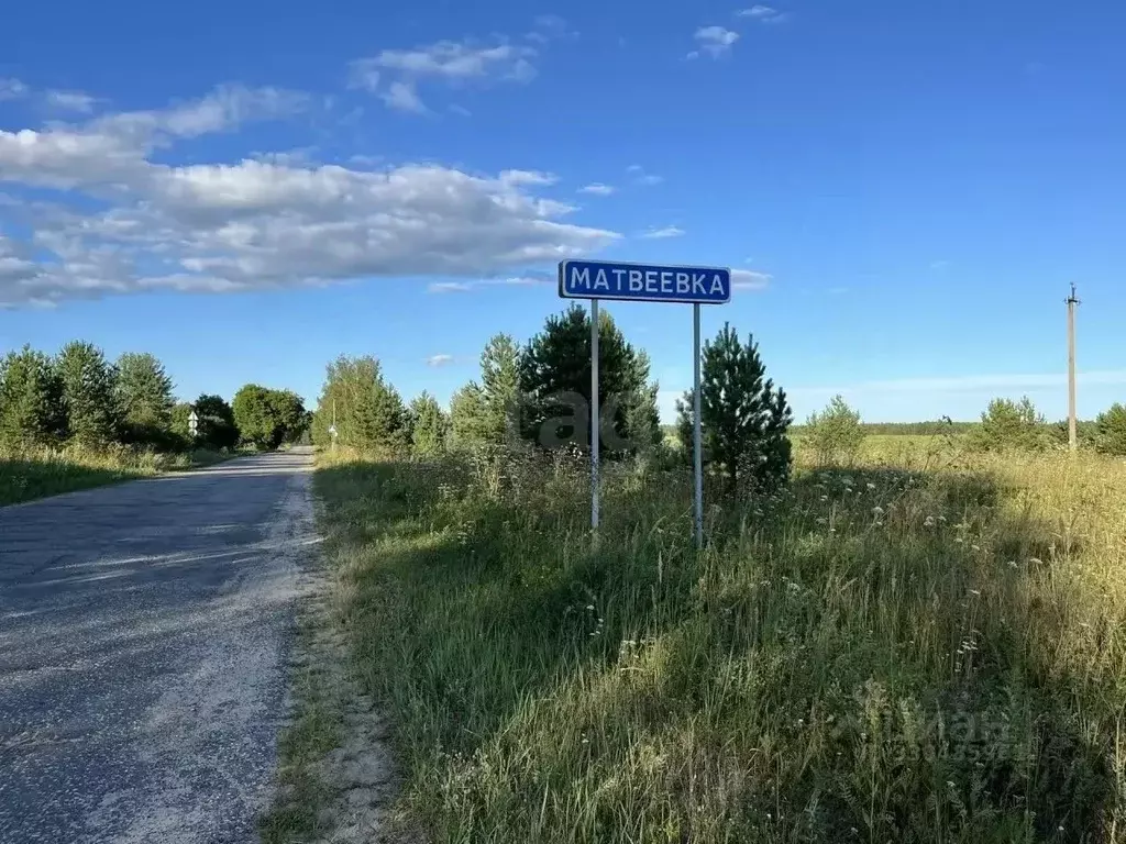Участок в Владимирская область, Селивановский муниципальный округ, д. ... - Фото 1