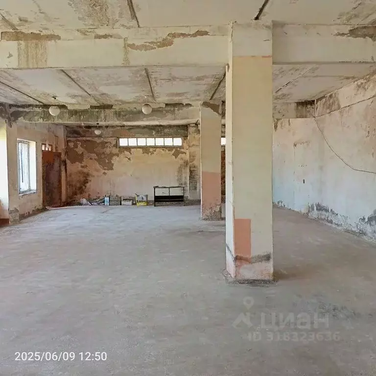 Помещение свободного назначения в Оренбургская область, Оренбургский ... - Фото 1