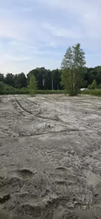 Участок в Тюменская область, Тюмень Поле Чудес садовое товарищество, ... - Фото 1