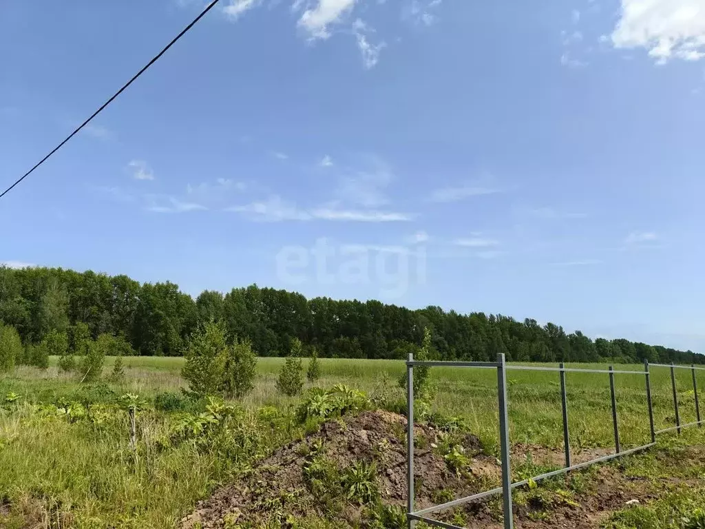 Участок в Владимирская область, Муром с. Ковардицы, ул. 75 лет Победы ... - Фото 1