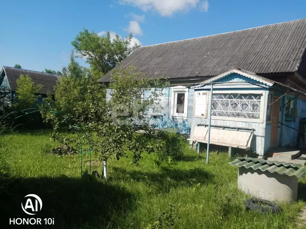 Дом в Брянская область, Навлинский район, пос. Синезерки Октябрьская ... - Фото 2
