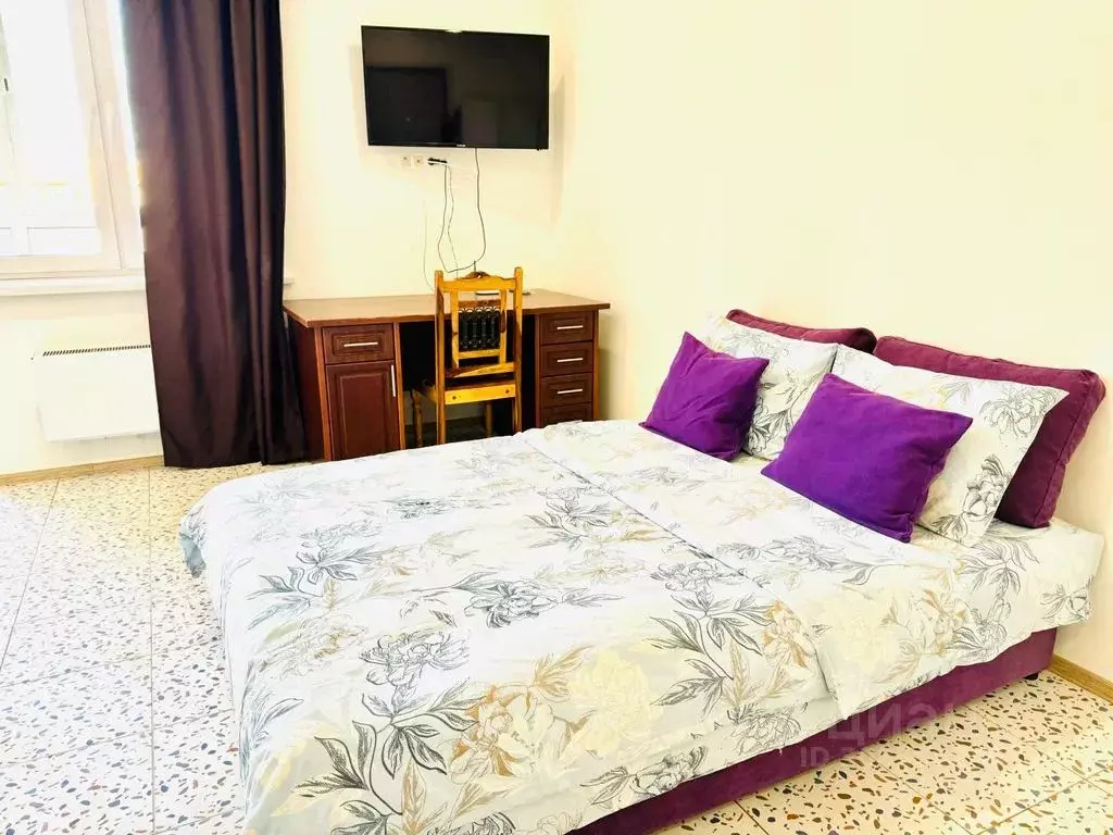 Студия Московская область, Звенигород Одинцовский городской округ, ул. ... - Фото 2