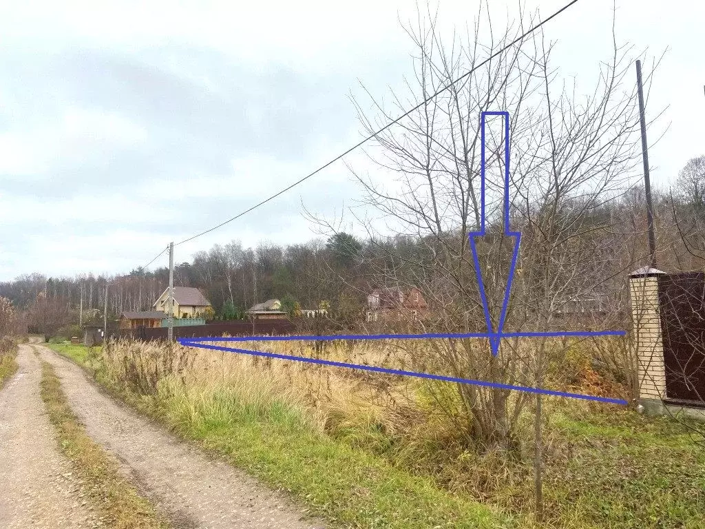 Участок в Тульская область, Заокский район, Страховское с/пос, с. ... - Фото 1