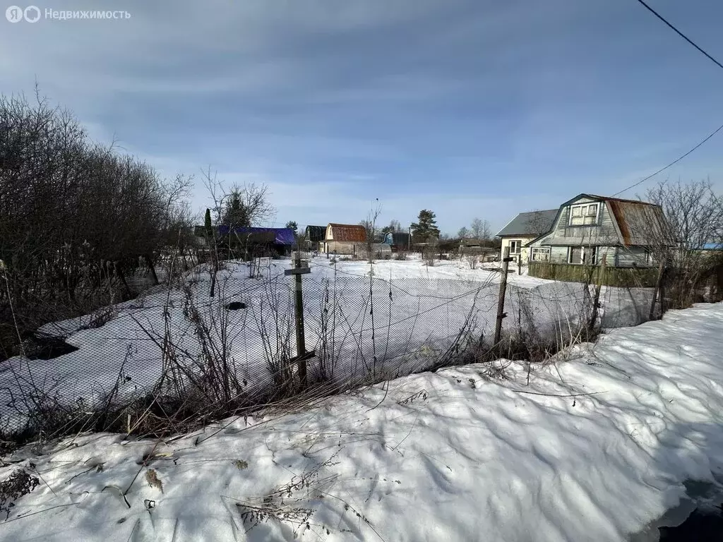 Участок в Ярославский муниципальный округ, садоводческое ... - Фото 2