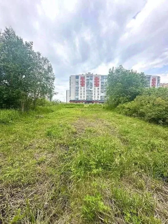 Участок в Новгородская область, Великий Новгород Золотая осень СТ,  ... - Фото 0