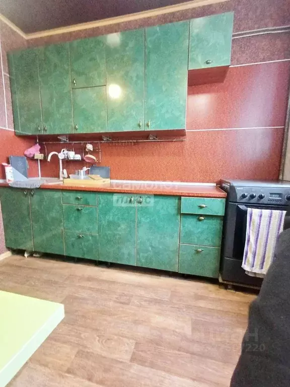 2-к кв. Кемеровская область, Салаир г. Гурьевский муниципальный округ, ... - Фото 2