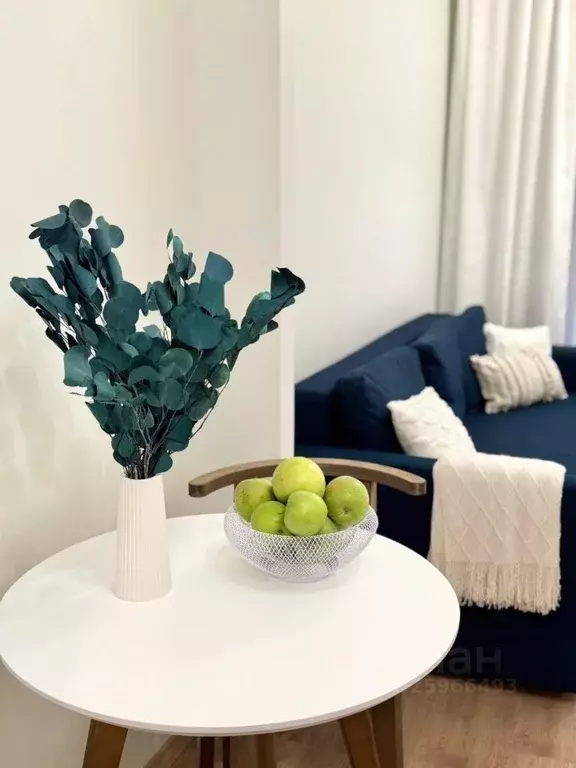 Студия Санкт-Петербург просп. Малый Васильевского острова, 52 (23.9 м) - Фото 0