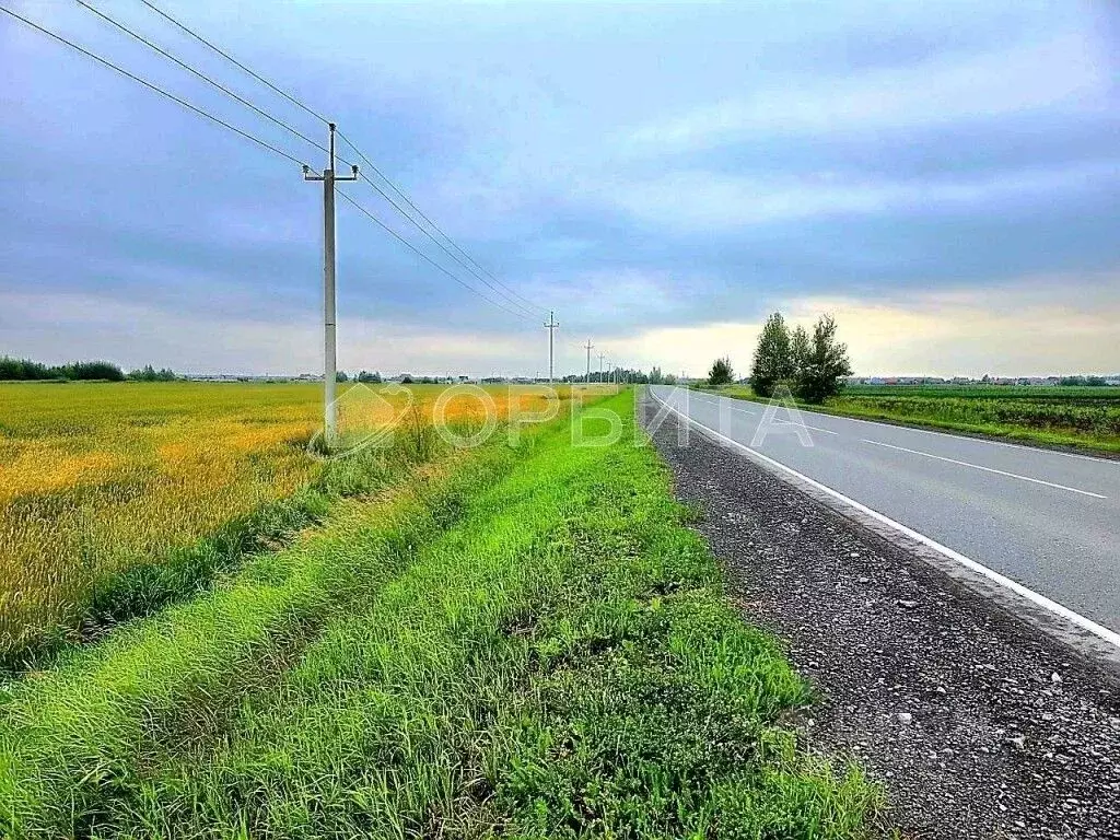 Участок в Тюменская область, Тюменский муниципальный округ, д. ... - Фото 1