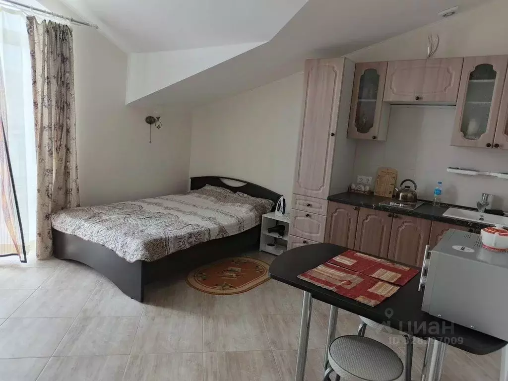 Студия Севастополь ул. Челюскинцев, 57/2 (27.0 м) - Фото 1