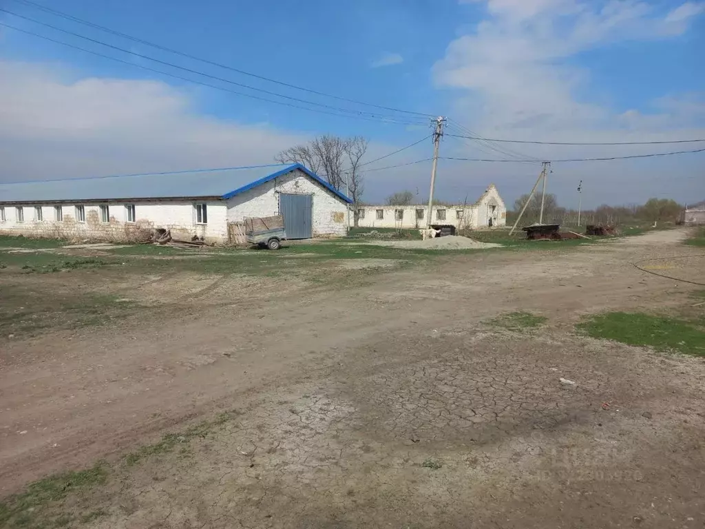 Помещение свободного назначения в Кабардино-Балкария, Прохладненский ... - Фото 2