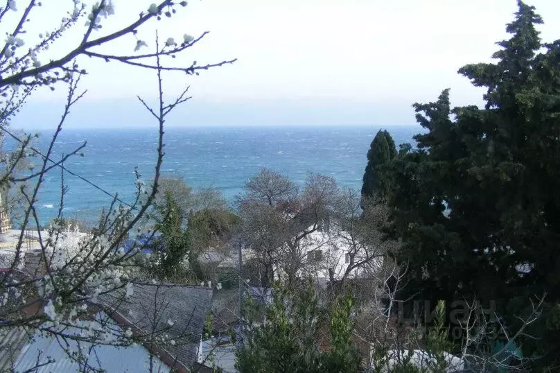 1-к кв. Крым, Алупка ул. Приморская, 4 (35.0 м) - Фото 2