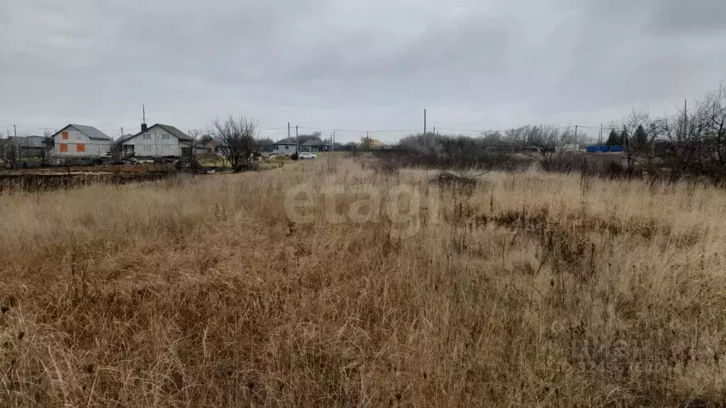 Участок в Воронежская область, Каширский район, Колодезянское с/пос, ... - Фото 2