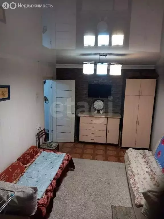 1-комнатная квартира: село Энергетик, Высоковольтная улица, 3 (30.4 м) - Фото 2